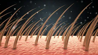 Healthy Hair Starts With A Healthy Scalp