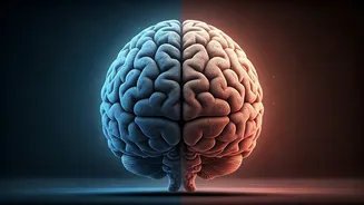 Sleepless Nights, Troubled Minds: How Sleep Deprivation Fuels Anxiety and Depression