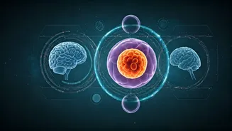 Short Bursts of Intense Exercise Slash Risk of 8 Major Diseases: New Study Reveals