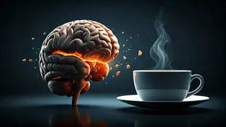 Caffeine's Secret: Reversing Memory Loss Caused by Sleep Deprivation, New Study Reveals