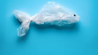 Kerala's Plan Gives Visitors Clearer Guidance on Waste and Plastic