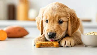 Keep Pets Healthy With Easy Homemade Vet Approved Organic Treat Recipes