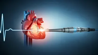 Advancements in Cardiac Ablation and Closure: New Data Revealed