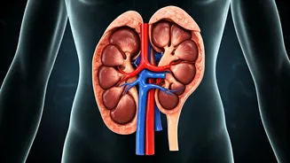 Protein Power: 6 Hidden Health Risks of Overdoing It