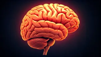 B12 Deficiency: Spot the Signs and Find Solutions