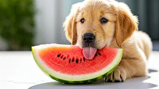 Cool Down Anxious Pups Using Quick Frozen Watermelon Slice Hacks