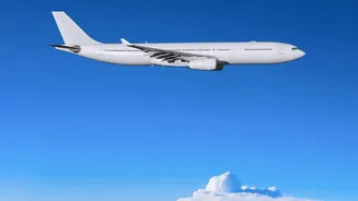 Save 30 percent on domestic flights by timing mid week departures with alerts