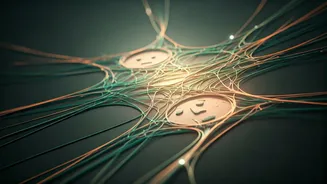 Related Stories banner