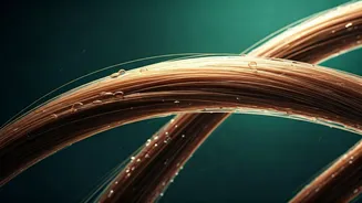 Unveiling the Moisture Myth: How Hydration Strengthens Hair for Length Retention