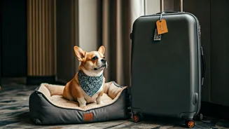 Pet-First Holidays Are The New Urban Travel Flex
