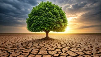 5 Confidence Boosters: Build Your Inner Strength