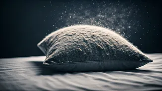 Breathe Easy: Unmasking Hidden Indoor Asthma Triggers in Your Home