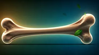 Fortify Your Bones: Expert Tips for a Lifetime of Strength and Osteoporosis Prevention