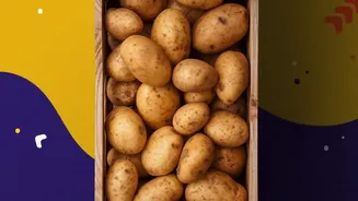 National Potato Day 2026 Celebrates the Humble Aloo Across India