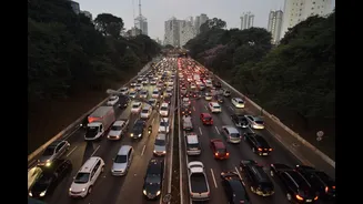 Onde você mora pode fazer a diferença no risco de desenvolver Parkinson, segundo estudo com 3 milhões