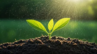 Eco-Conscious Travel Is Winning Big