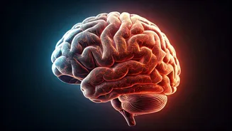 Reset Your Brain With A Dopamine Detox