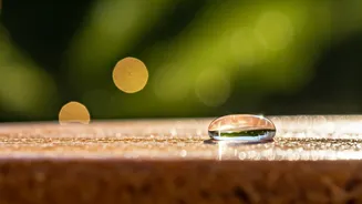 Top SPF 50 Sunscreens: Your Guide to Radiant, Protected Skin