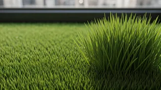 Pet Parents Swap Toxic Plastic Grass For Real Terrace Greenery