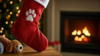 Fur Babies Are Now Part Of Every Holiday Plan