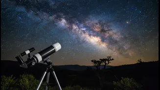 Plan the Night Around the Sky, Not the Shopping List