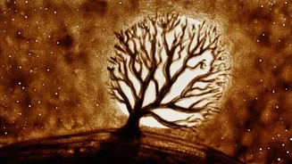 Learn to draw with sand: A guide