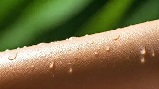 Monsoon Skin Survival Starts With These Basics