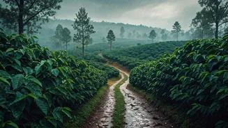 The Ultimate Guide To Romantic Rain Washed Coorg
