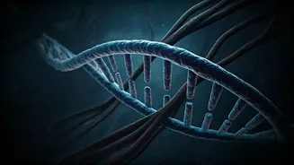 The Dire Link: How Poor Sleep Skyrockets Your Cancer Risk by 72%