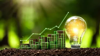 6 rules for first-time stock investors