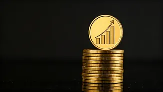 Meesho IPO: Key Dates, Metrics, and Market Insights