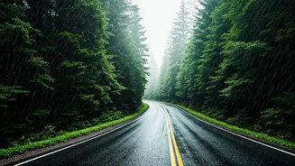Rainscape Travel Feels Like A Film Scene