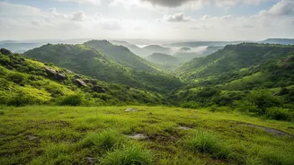 Rajasthan's Current Monsoon Travel Surge Moves Rain-Changed Scenery Across Rajasthan Up The Agenda