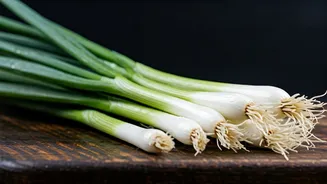 10 Spring Onion Dishes You Need to Try!