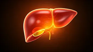 तुम्हीही Vitamin A सप्लिमेंट्स घेताय? लिव्हर डॅमेज होण्याआधीच व्हा सावध!