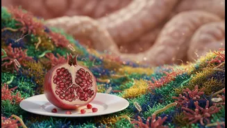 How gut health resilience is built by shifting largest meal to midday