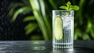 Monsoon Diet Focus Shifts To Hydration