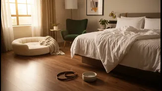 Before Booking, Make Sure Pets Are Truly Welcome Throughout The Stay