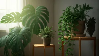 Low-Effort Greenery Is The Monsoon Home Upgrade