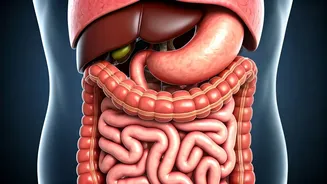 Water Fasting: A 3-Day Body Transformation