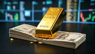 Indian PE Fundraising: Domestic Capital's Growing Role