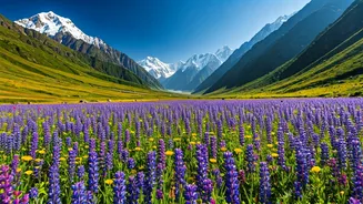 Peak Blooms Make This Trek Time-Sensitive