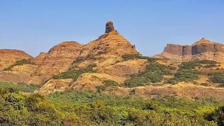 Vista-Dome Train Routes Along Konkan Line Attract Youth Seeking Independence Day Scenic Travel