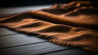 7 Timeless Indian Sarees Fading Away: A Plea for Their Revival