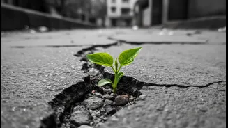 Healthy living should not be framed as a willpower failure: a key limit for Healthy Living In Urban India