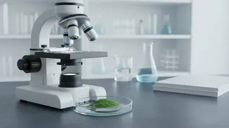 Scientists Say Microplastics Have Been Found In Foods, But Health Risks Need More Study