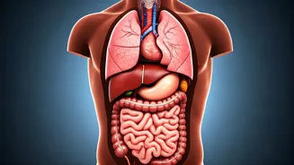 Exercises That Boost Your Organs' Health