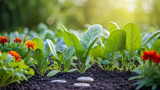 Cooler Days Are Perfect For First-Time Growers