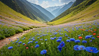 Peak Bloom In July Makes Uttarakhand Ultimate Travel Goal