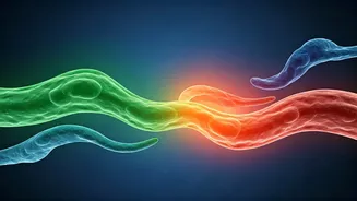 Gestational Diabetes: The Hidden Risk of Type 2 for 50% of Mothers